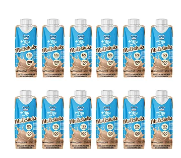 Combo Mulkshake - Cappuccino - Pack 12 Garrafinhas (250ml)